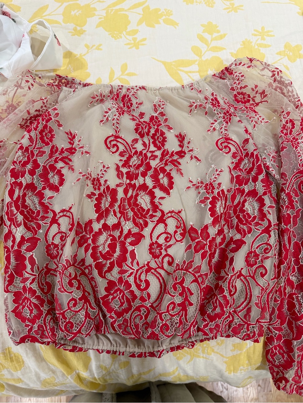 Alice + Olivia Red Floral Embroidered Sheer Blouse